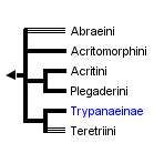 taxon links