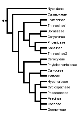 taxon links