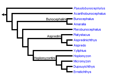 taxon links