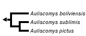 taxon links