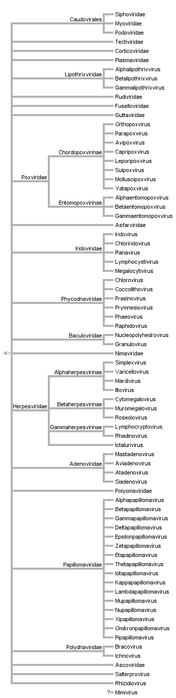 taxon links