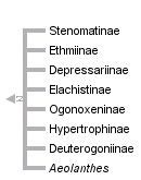 taxon links