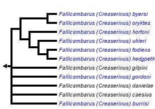 taxon links