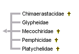 taxon links