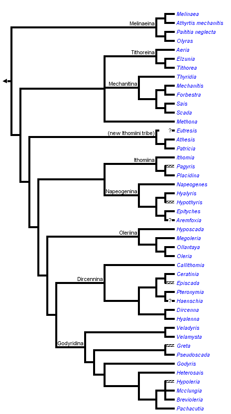 taxon links