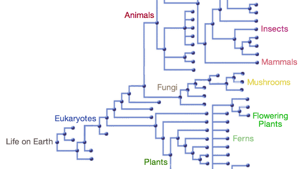 Hierarchy of nodes