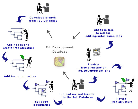 The TreeGrow Workflow